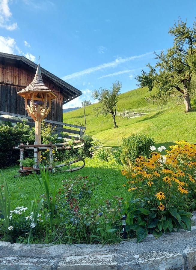 Almhof Grub Vila Wagrain Exterior foto